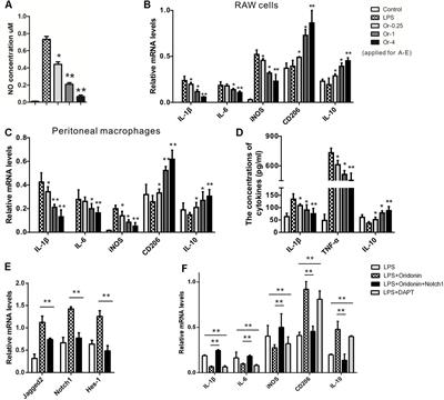 Natural Diterpenoid Oridonin Ameliorates Experimental Autoimmune Neuritis by Promoting Anti-inflammatory Macrophages Through Blocking Notch Pathway